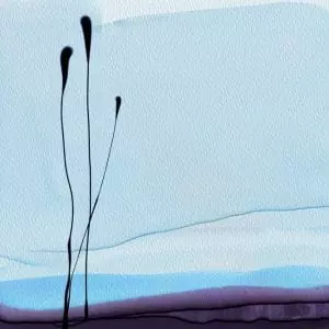 מרחבים של בוקר