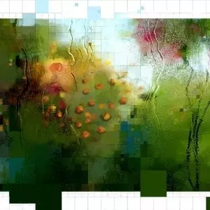 עץ התפוזים שבחצר