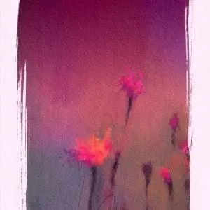 סגולה לאושר