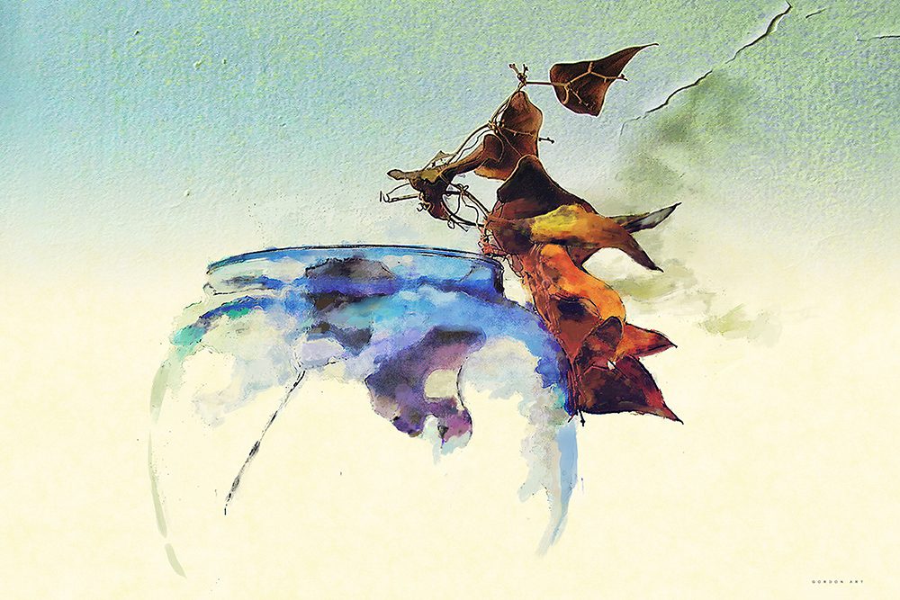 "רסיסי אור" יצירה מינימליסטית מעונדת של איש גורדון, טכניקה מעורבת המשלבת צילום וציור, אגרטל זכוכית כחול שקוף וצמח שברירי בגווני חום על רקע בהיר. הדפס קנבס